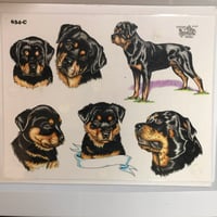 Image 1 of 1997 Official Tattoo Brand production Rottweiler sheet 634-c