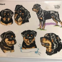 Image 2 of 1997 Official Tattoo Brand production Rottweiler sheet 634-c
