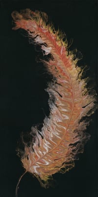 Image 2 of Fire Feather Fine Art Print