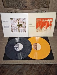 Image 1 of LIFE -demo seven and demo eight 12" 