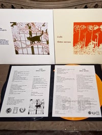 Image 2 of LIFE -demo seven and demo eight 12" 