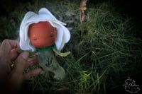 Image 4 of Rosalind- 5 inch Baby Flower with flower pot
