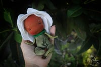 Image 3 of Rosalind- 5 inch Baby Flower with flower pot