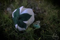 Image 5 of Rosalind- 5 inch Baby Flower with flower pot