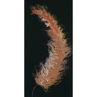 Image 1 of Fire Feather Fine Art Print