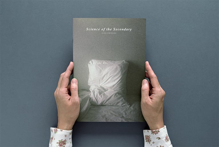 Image of (NEW) Science of the Secondary #18 PILLOW