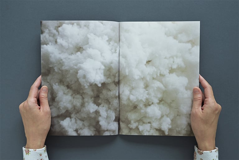 Image of (NEW) Science of the Secondary #18 PILLOW