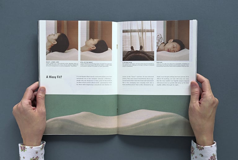 Image of (NEW) Science of the Secondary #18 PILLOW