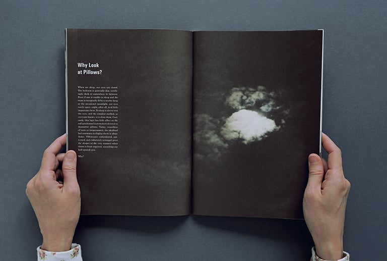 Image of (NEW) Science of the Secondary #18 PILLOW