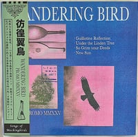 Wandering Bird ‎– Promo MMXXV 10 inch