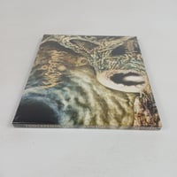 Image 3 of VOIDCEREMONY - "ABDITUM" - CD