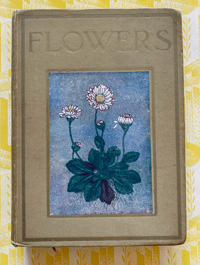 Image 1 of Flowers Shown to the Children