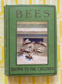 Image 1 of Bees Shown to the Children