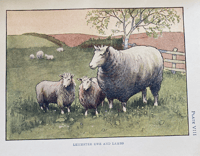 Image 7 of The Farm Shown to the Children