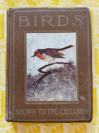 Image 1 of Birds Shown to the Children
