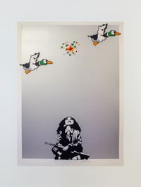 Image 5 of duck