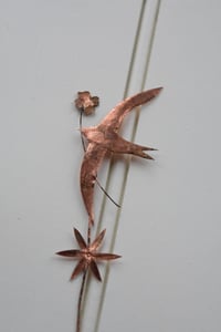 Image 1 of Swift with four leaf clover