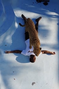 Image 3 of CHEETAH TEE