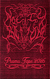 Noctis Bellum - Promo 2026 CS
