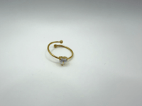 14 February ring