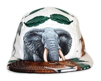 Image 1 of Safari 2 