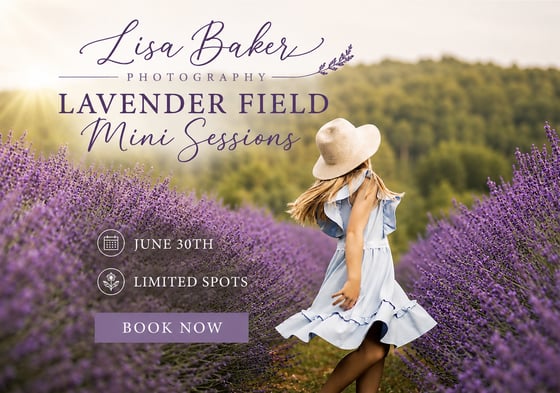 Image of Lavender Field Minis