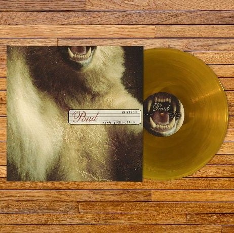 Image of Pond - Rock Collection LP