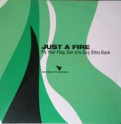 Image of Just A Fire - Fly Your Flag, Son 7" ORANGE/BLACK SPLIT Vinyl