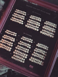 Image 3 of Dental display 