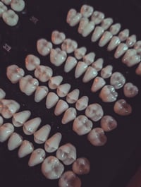 Image 5 of Dental display 