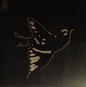 Image of Daitro - Des Condres Je Me Consume LP BLACK Vinyl