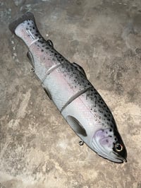 Image 2 of Immortal Trout 7.7 “x-planter”