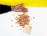 Image 5 of Miles Shelton<br>"99% organic" Puzzle
