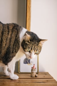 Image 9 of Mini escultura, miniatura en cerámica personalizada de tu gato o perro