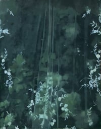 Image 2 of through the veil 