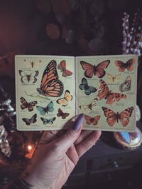 Image 1 of Butterfly booklet 