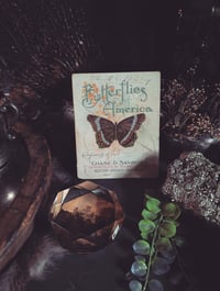 Image 2 of Butterfly booklet 