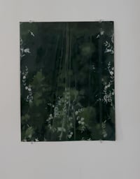 Image 1 of through the veil 