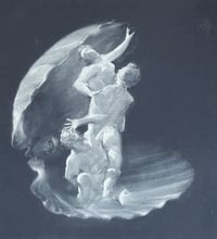 Image 2 of Venus Interrupted  