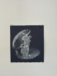 Image 1 of Venus Interrupted  