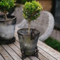 Image 3 of Garden Hare Pot Feet, set of 3 