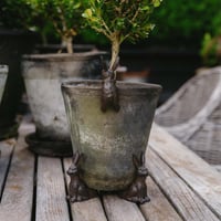 Image 4 of Garden Hare Pot Feet, set of 3 