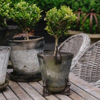 Image 5 of Garden Hare Pot Feet, set of 3 