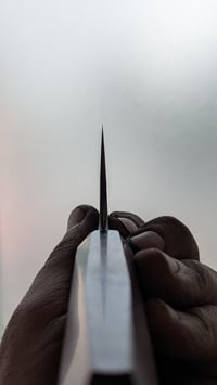 Image 5 of San Mai Gyuto | Apex Ultra - Mild Steel | Gidgee - Buffalo Horn