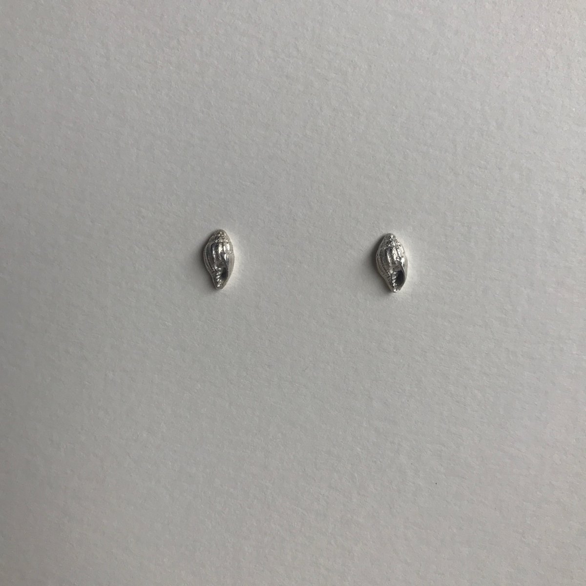 Image of Basket shell earring