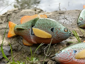 Image of 6” Ann Deluxe (Longear)