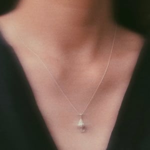 Image of Croissant shell necklace