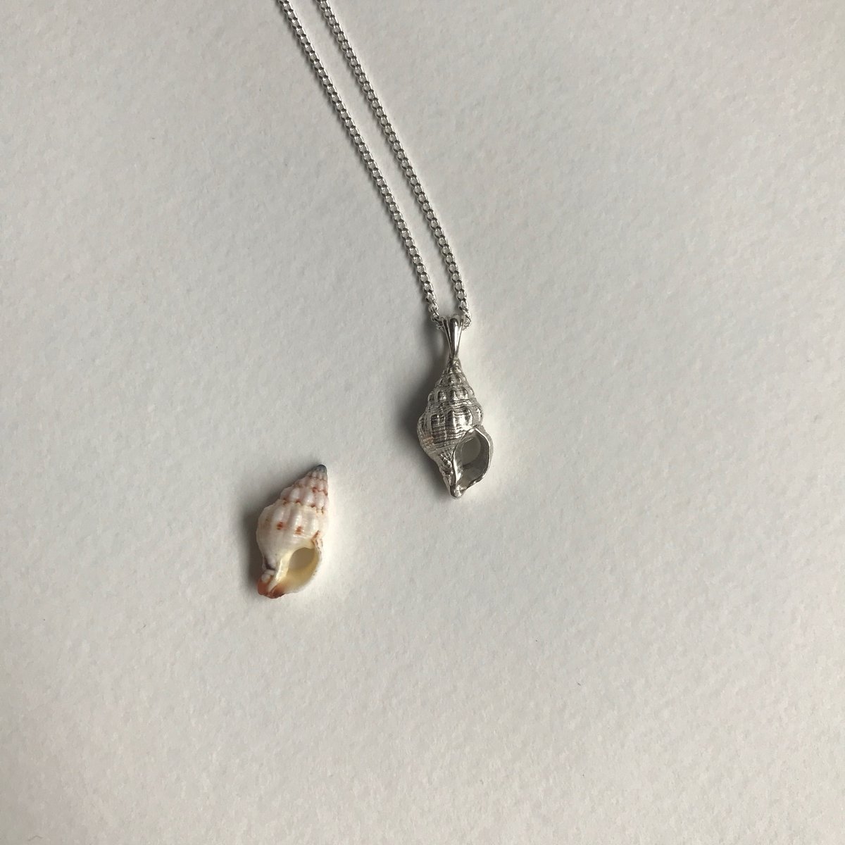 Image of Croissant shell necklace