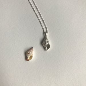 Image of Croissant shell necklace