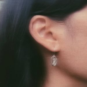 Image of Delia shell earring